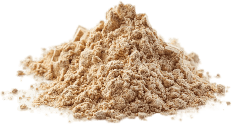 Inulin ingredient in Synaptigen